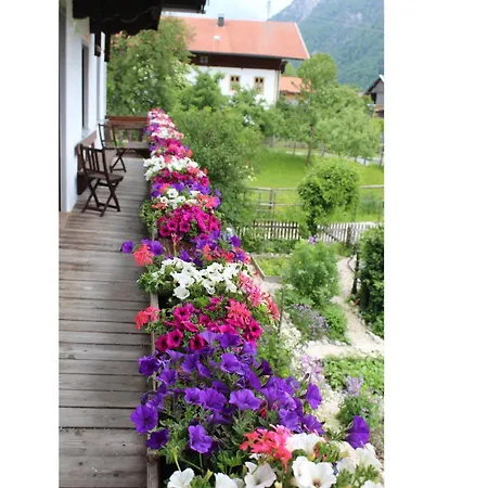 مزرعة للإقامة Grafn-hof *